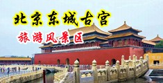 成年男生鸡鸡捅入成年女生鸡鸡照片中国北京-东城古宫旅游风景区